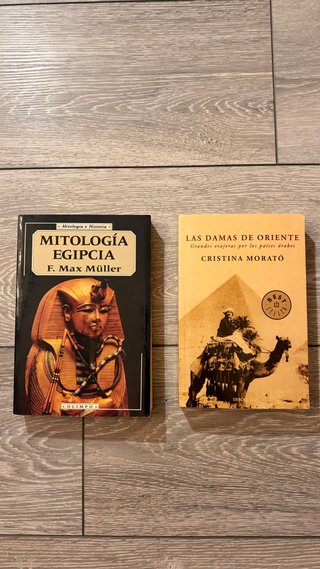 Lote dos libros.perfecto estado