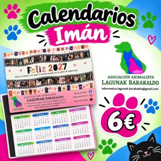 Vendita di beneficenza: Magnete Calendario 2027 gatti