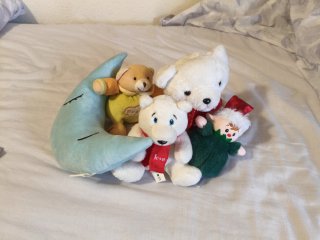 Peluches Variados