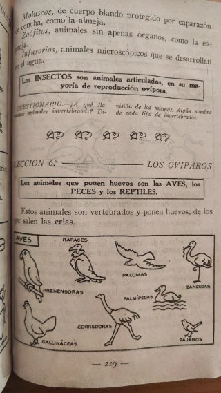 Enciclopedia Hernando - Grado Elemental