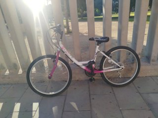 Bicicletta per bambina 24 pollici