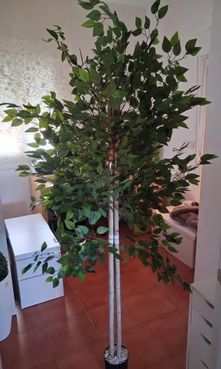 Ficus Decorativo Artificial