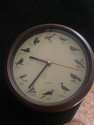 Reloj de Pared con Ilustraciones de Aves