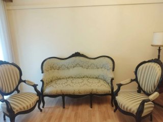 Conjunto Sofás Antiguos Luis XV