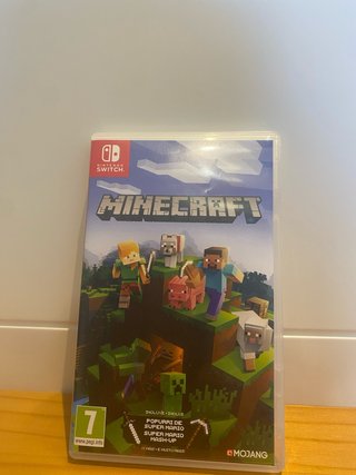 Minecraft Nintendo Switch