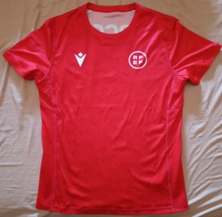 Camiseta entrenamiento/calentamiento Árbitro RFEF