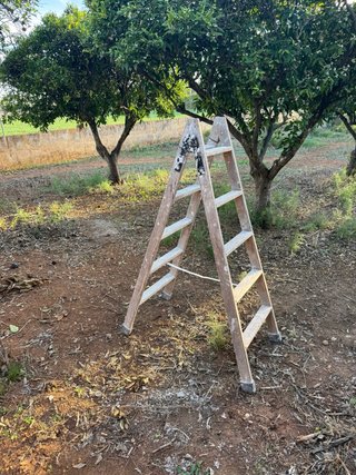 Escalera de pintor madera