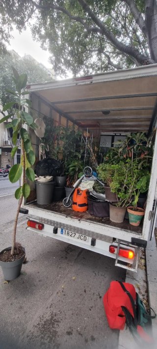 Grua plataforma de mudanzas