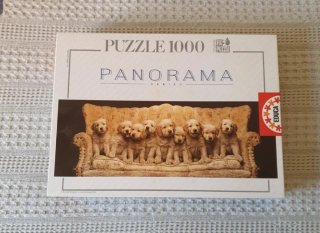 Puzzle 1000 Piezas Panorama Series Educa