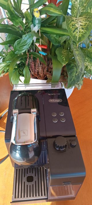Cafetera DeLonghi Nespresso Latissima
