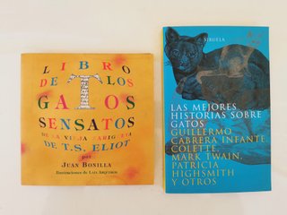 Dos libros de historias sobre gatos