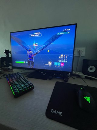 Monitor Razer Negro