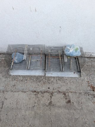 Lote 2 jaulas metálicas