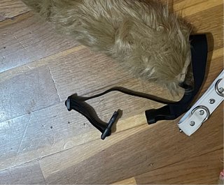 Complementos para disfraz de zorro