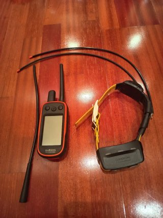 Mando Garmin Alpha 100 y Collar T5