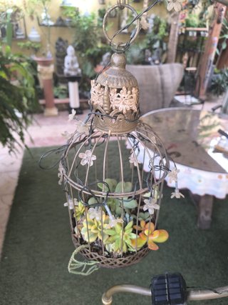 Lámpara - Jaula Pájaros con plantas suculentas