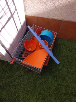 Jaula para hámster con accesorios
