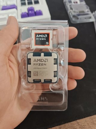 Procesador AMD Ryzen 5 9600X