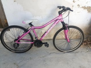 Bicicleta Aluminio 26 JL Wenti