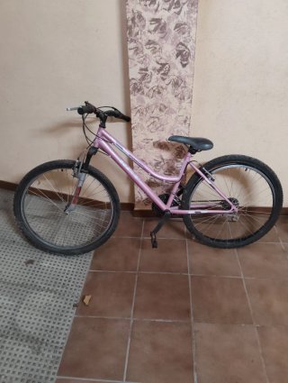 Bicicleta rosa montaña