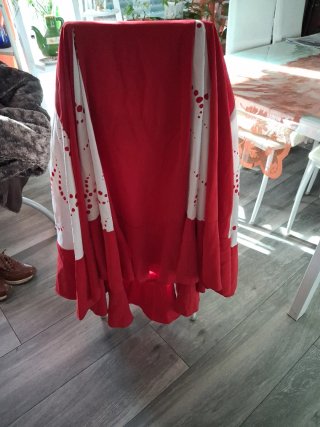 Falda Flamenca Roja y Blanca