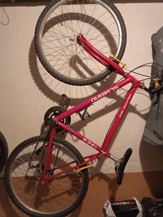 Bicicleta de Montaña SCHIANO 1923 sólo recogida