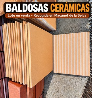 Lote de 25 Baldosas Cerámicas