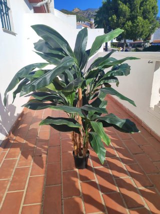Planta Artificial Platanera