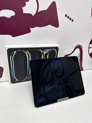 IPad PRo 13 M4 256gb (Bateria 100%)