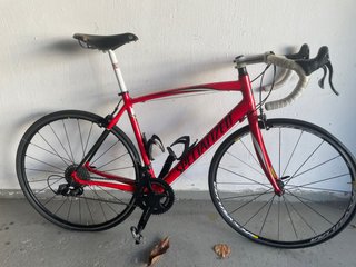 Specialized Allez Comp Talla 56 L Campagnolo