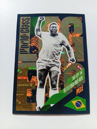 Pelé World Class PANINI