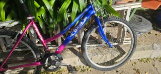 Bicicleta Taicor 26 Pulgadas Azul y Rosa