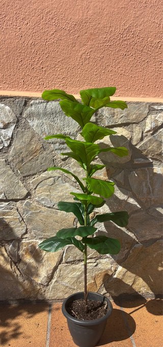 Higuera Artificial Hoja Violín 103cm