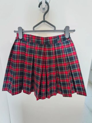 Minifalda plisada de cuadros