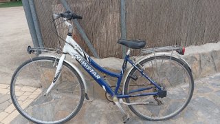Bicicleta Paseo Newstar 11.7000