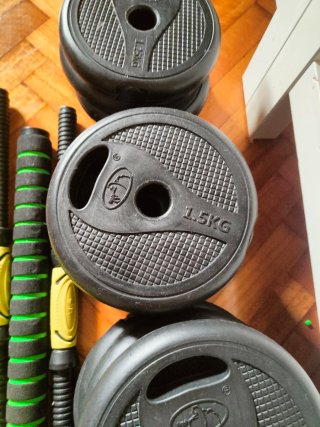 Juego de pesas 29 kg