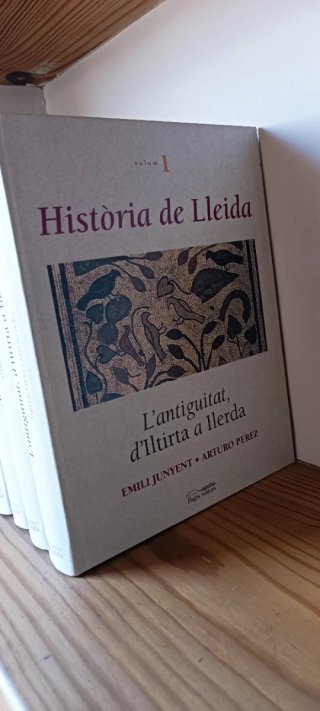 Història de Lleida
