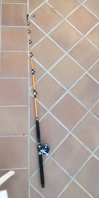 Caña Kali Troll 195 + Carrete Penn 67