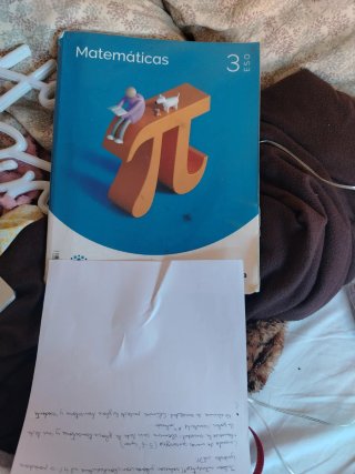 Matemáticas, 3 ESO, Proyecto Construyendo mundos