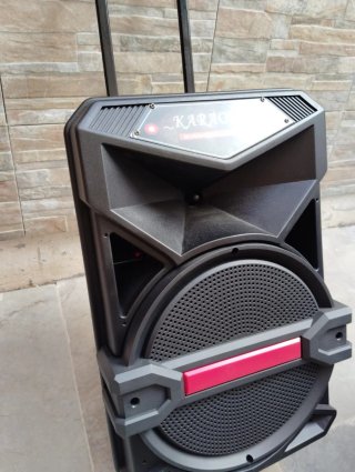 Altavoz Trolley Bluetooth Karaoke LiGE-1713
