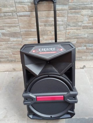 Altavoz Trolley Bluetooth Karaoke LiGE-1713
