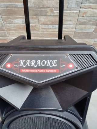 Altavoz Trolley Bluetooth Karaoke LiGE-1713