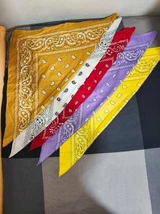 Set de 5 Bandanas Estampadas