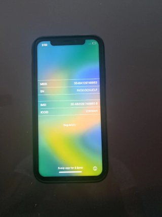 iPhone X