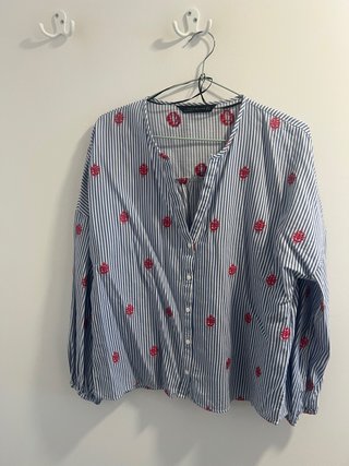 Camisa Zara de Rayas con Bordados