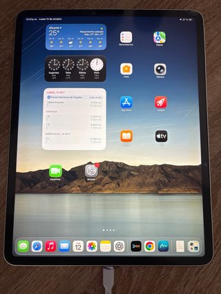 iPad Pro 12.9 (4ª Gen) Argento