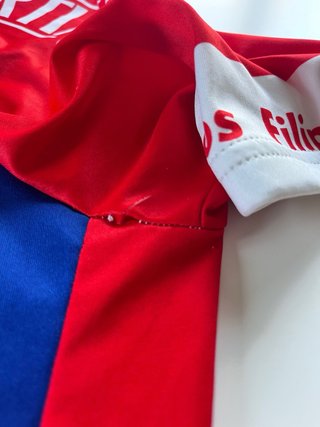 Maillot Ciclista Artiach Santini