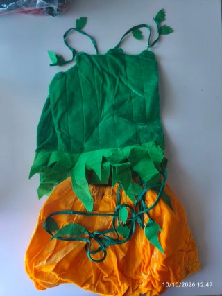 Disfraz de Calabaza. Halloween