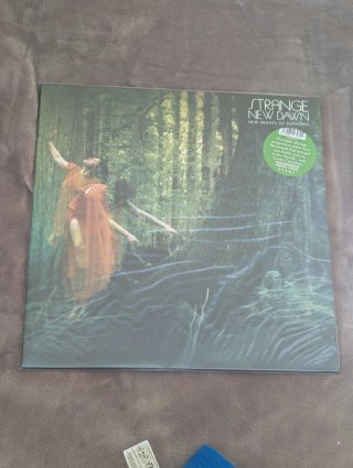 Vinilo Strange New Dawn - New Nights of Euphoria