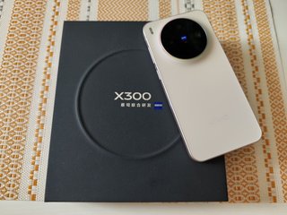 Vivo X300